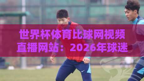 世界杯体育比球网视频直播网站：2026年球迷必知的观赛新选择