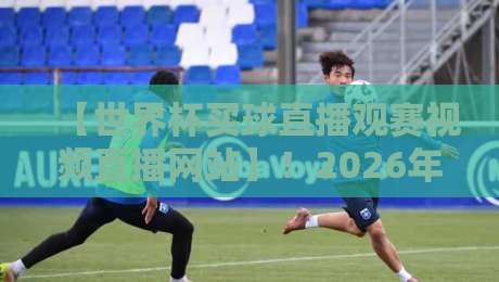 【世界杯买球直播观赛视频直播网站】！2026年球迷必备的三大观赛神器