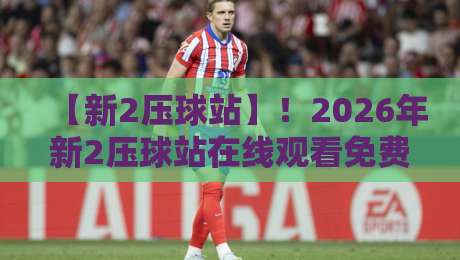 【新2压球站】！2026年新2压球站在线观看免费直播站全攻略