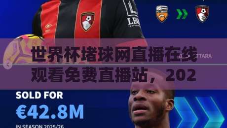 世界杯堵球网直播在线观看免费直播站，2026年球迷必备的观赛神器！