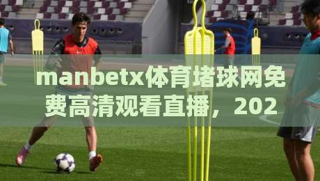 manbetx体育堵球网免费高清观看直播，2026年最新观赛指南与实战心得