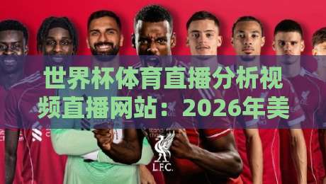 世界杯体育直播分析视频直播网站：2026年美加墨世界杯来临，球迷必看的观赛平台深度评测与实战技巧