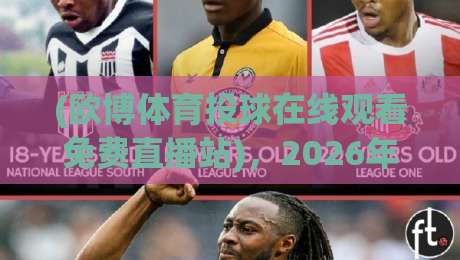 (欧博体育投球在线观看免费直播站)，2026年免费观赛新姿势：教你如何找到稳定高清源？