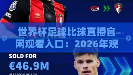 世界杯足球比球直播官网观看入口：2026年观赛指南，别再踩坑了！