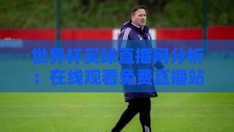 世界杯买球直播网分析：在线观看免费直播站【2026世界杯观赛指南】