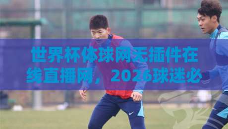 世界杯体球网无插件在线直播网，2026球迷必备的高清观赛神器！（世界杯体球网无插件在线直播网）