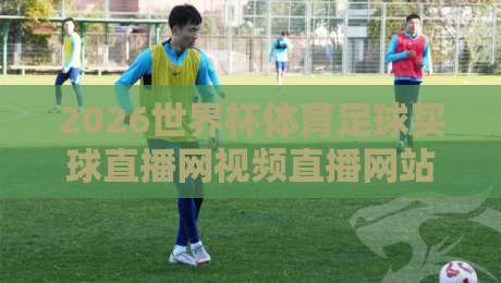 2026世界杯体育足球买球直播网视频直播网站：你猜怎么着？这届观赛体验简直逆天了！