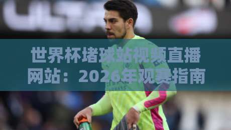 世界杯堵球站视频直播网站：2026年观赛指南与避坑手册
