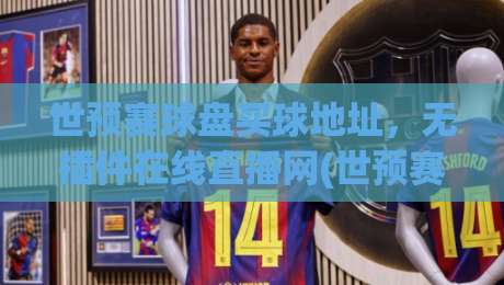 世预赛球盘买球地址,无插件在线直播网(世预赛球盘)观赛指南2026版