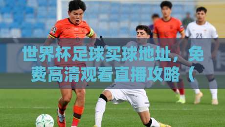 世界杯足球买球地址,免费高清观看直播攻略(2026最新版)