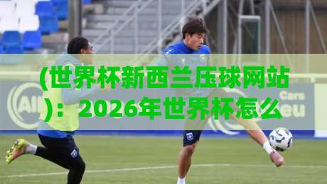(世界杯新西兰压球网站)：2026年世界杯怎么看？这些实战技巧帮你避开陷阱【世界杯新西兰压球网站】