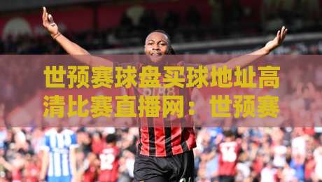 世预赛球盘买球地址高清比赛直播网：世预赛高清直播与买球地址全攻略