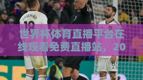 世界杯体育直播平台在线观看免费直播站，2026看球别乱点！这几个门道要记住
