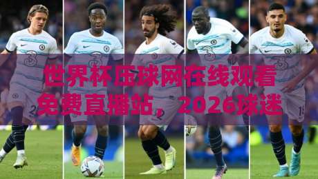 世界杯压球网在线观看免费直播站，2026球迷真实体验与避坑指南