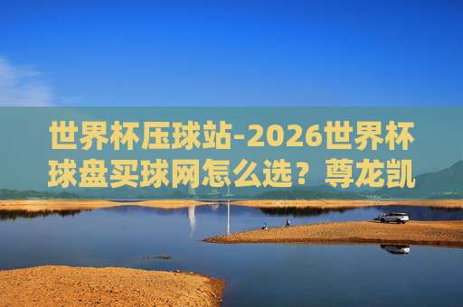 世界杯德国比球网址：2026年观赛首选平台推荐与实用指南
