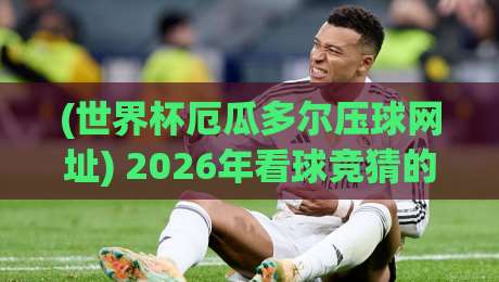 (世界杯厄瓜多尔压球网址) 2026年看球竞猜的正确打开方式