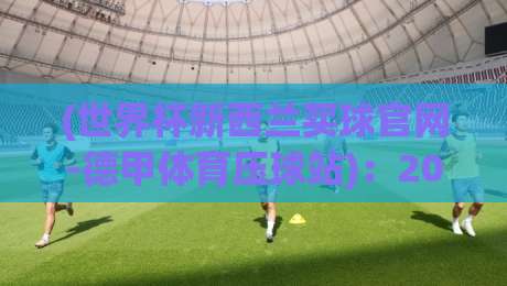 (世界杯新西兰买球官网-德甲体育压球站)：2026年世界杯投注指南与防坑攻略