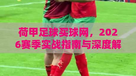 荷甲足球买球网，2026赛季实战指南与深度解析
