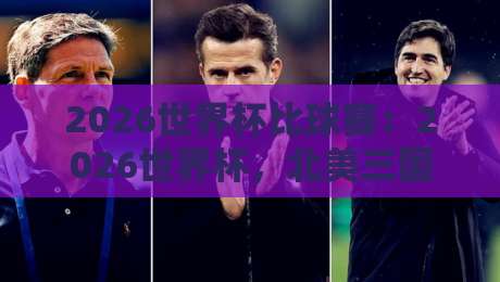 2026世界杯比球赛：2026世界杯，北美三国联办的终极观赛指南