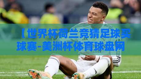 【世界杯荷兰竞猜足球买球赛-美洲杯体育球盘网】——2026年看球新玩法，竞猜攻略与盘口解析
