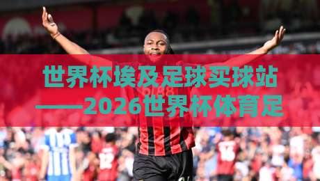 世界杯埃及足球买球站——2026世界杯体育足球买球网，真球迷的实战指南