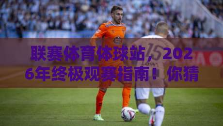 联赛体育体球站，2026年终极观赛指南！你猜怎么着？