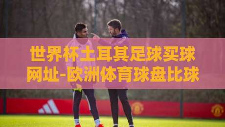 世界杯土耳其足球买球网址-欧洲体育球盘比球：2026年球迷必读的三大安全指南