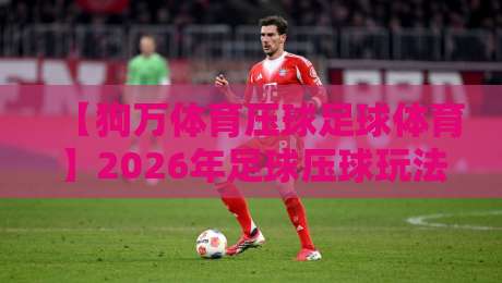 【狗万体育压球足球体育】2026年足球压球玩法与平台选择全攻略