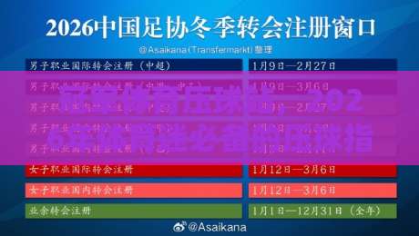 冠军体育压球站，2026年体育迷必备的压球指南