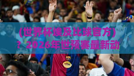 (世界杯埃及比球官方)？2026年世预赛最新动态与官方渠道全解析【世界杯埃及比球官方】