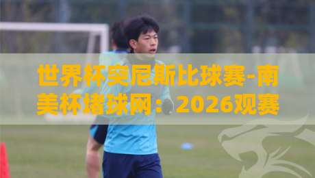 世界杯突尼斯比球赛-南美杯堵球网：2026观赛避坑指南