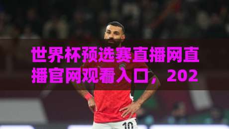 世界杯预选赛直播网直播官网观看入口，2026终极指南（世界杯预选赛直播网直播官网观看入口）