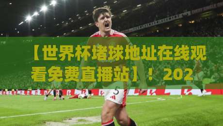 【世界杯堵球地址在线观看免费直播站】！2026年最新观赛攻略与避坑指南 (世界杯堵球地址在线观看免费直播站)