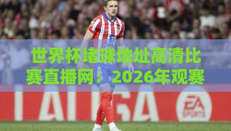 世界杯堵球地址高清比赛直播网：2026年观赛必备指南