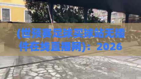 (世预赛足球买球站无插件在线直播网)：2026年观赛指南，这些坑你得避开